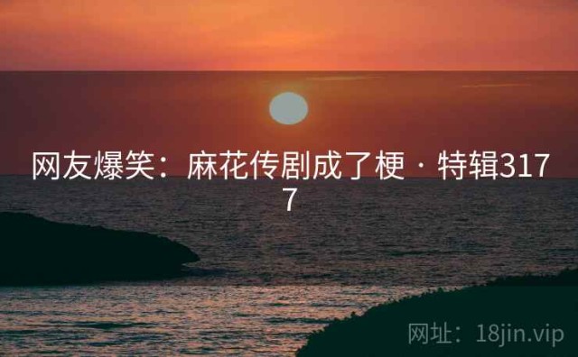 网友爆笑：麻花传剧成了梗 · 特辑3177