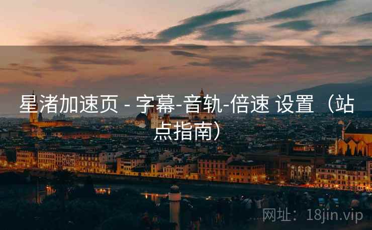 星渚加速页 - 字幕-音轨-倍速 设置（站点指南）