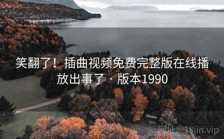 笑翻了！插曲视频免费完整版在线播放出事了 · 版本1990