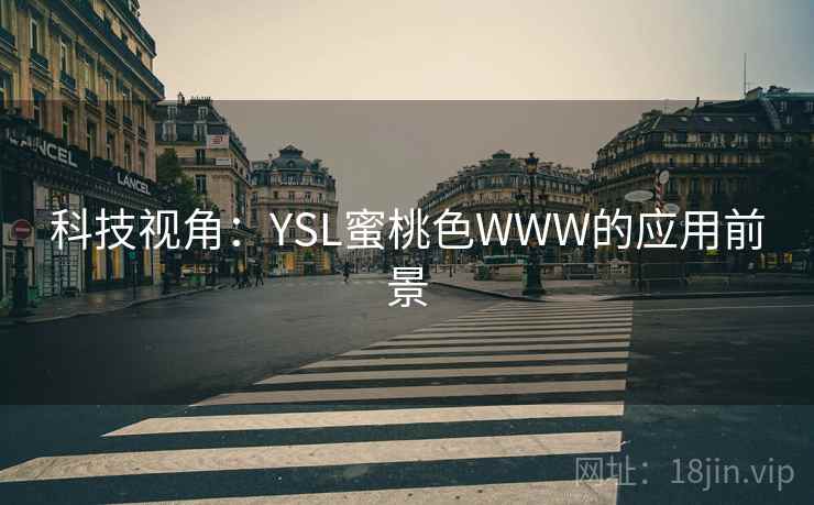 科技视角：YSL蜜桃色WWW的应用前景