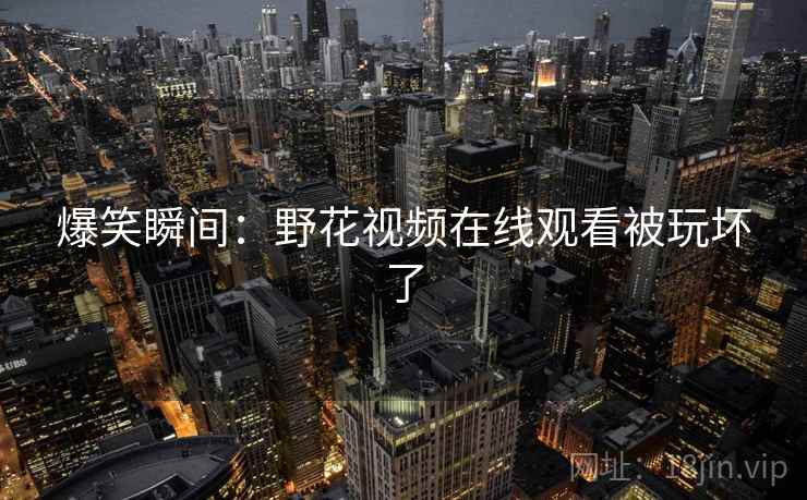 爆笑瞬间：野花视频在线观看被玩坏了