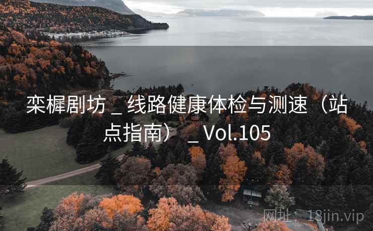 栾樨剧坊 _ 线路健康体检与测速（站点指南） _ Vol.105